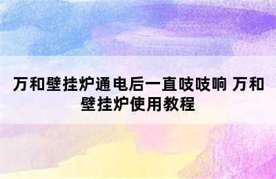 万和壁挂炉通电后一直吱吱响 万和壁挂炉使用教程